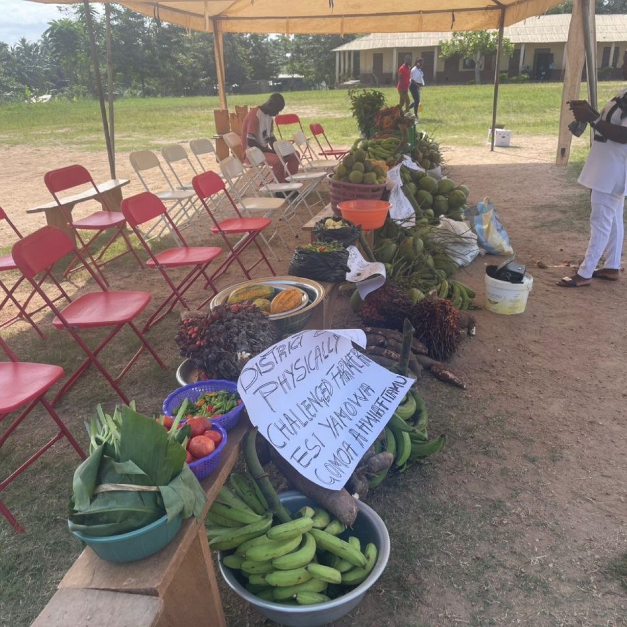 photo_5893128325268442299_y