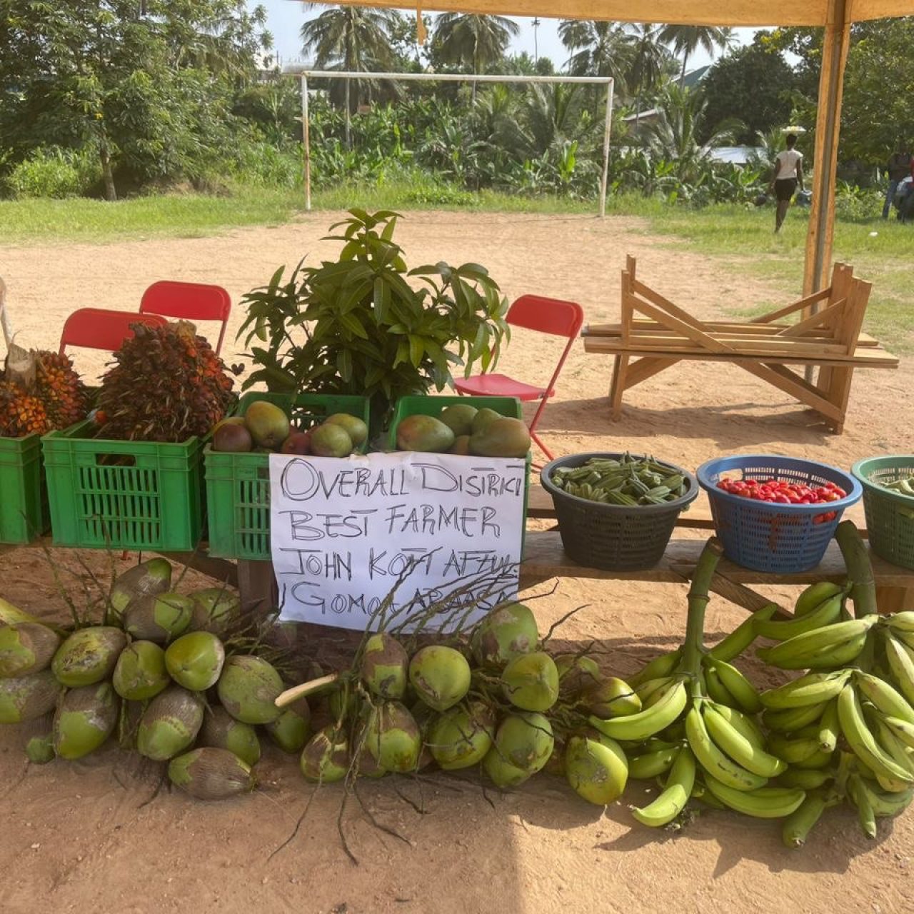 photo_5893128325268442302_y