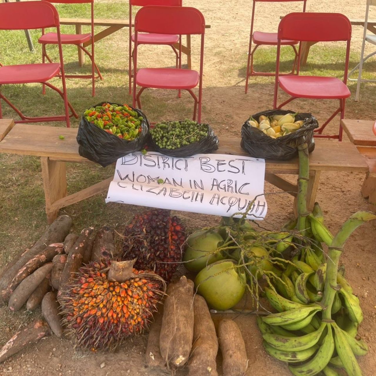 photo_5893128325268442303_y